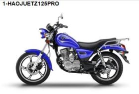 TZ 125-PRO