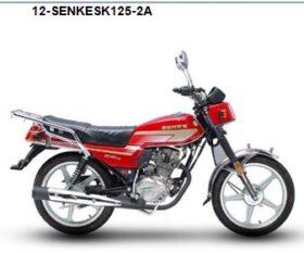 SK125-2A